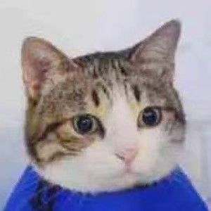 Meet your Posher, Lydia